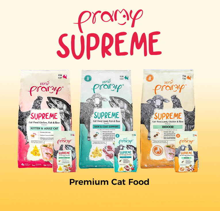 Premium Cat Food